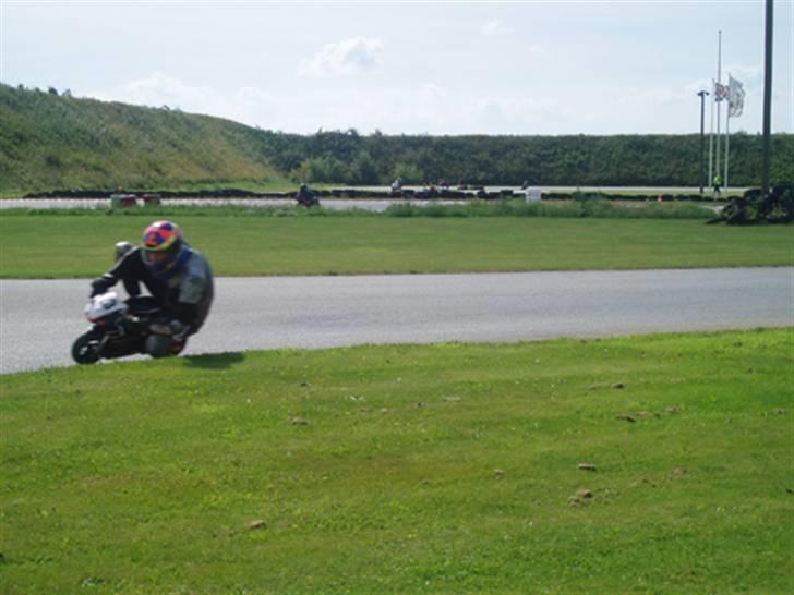 MiniBike Evil beast (solgt) billede 12