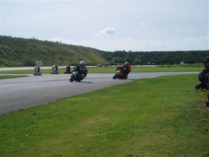 MiniBike Evil beast (solgt) billede 13