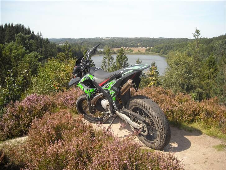 Derbi Senda  billede 2