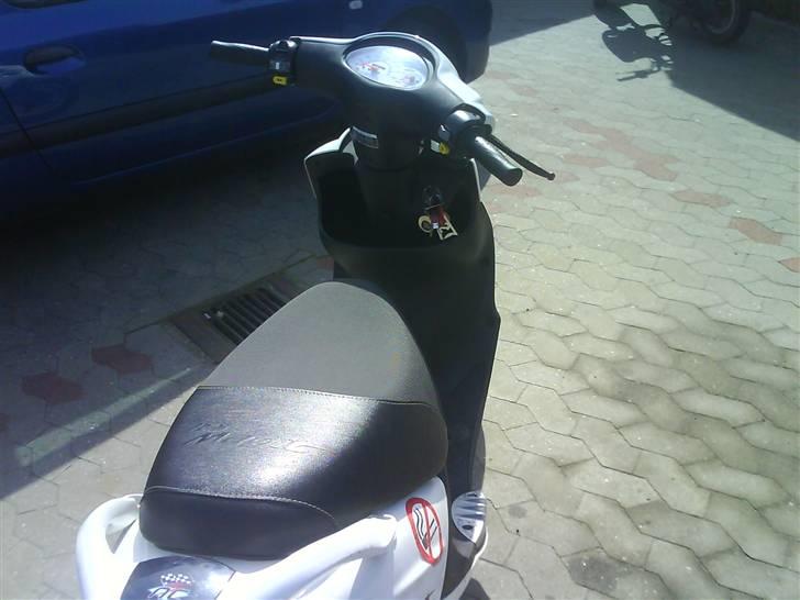 PGO White Magic billede 1