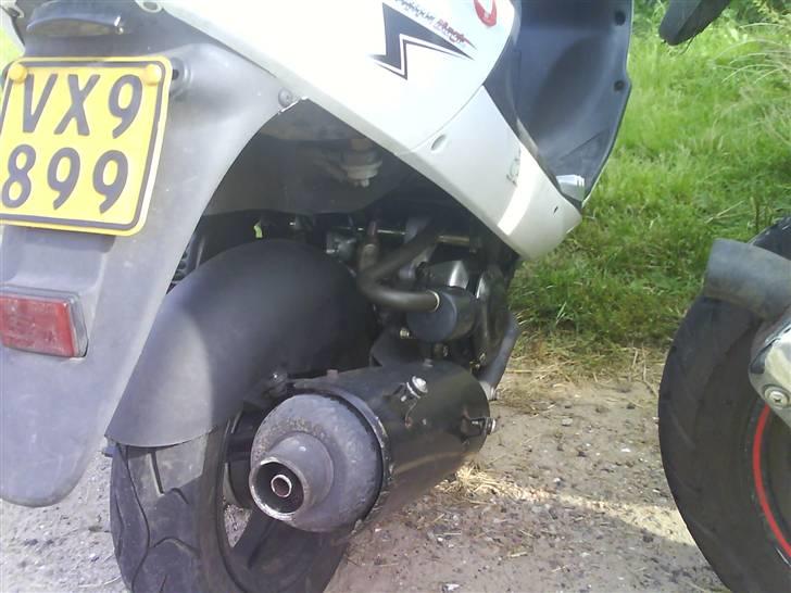 PGO White Magic billede 2