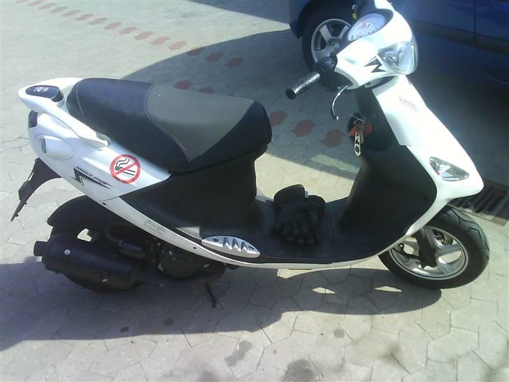 PGO White Magic billede 6