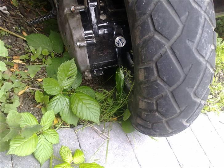 Aprilia Rally Projekt :b billede 2