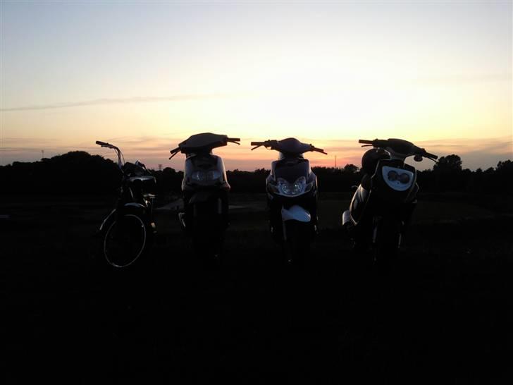 Aprilia Rally AC  **SOLGT** billede 11