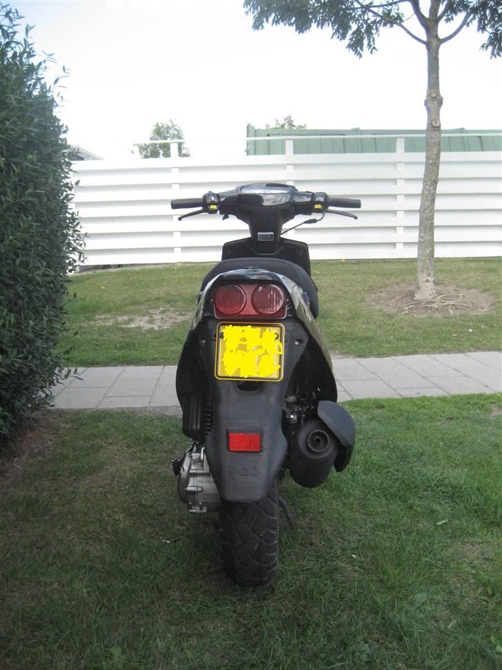 PGO Hot 50 (SOLGT) billede 14