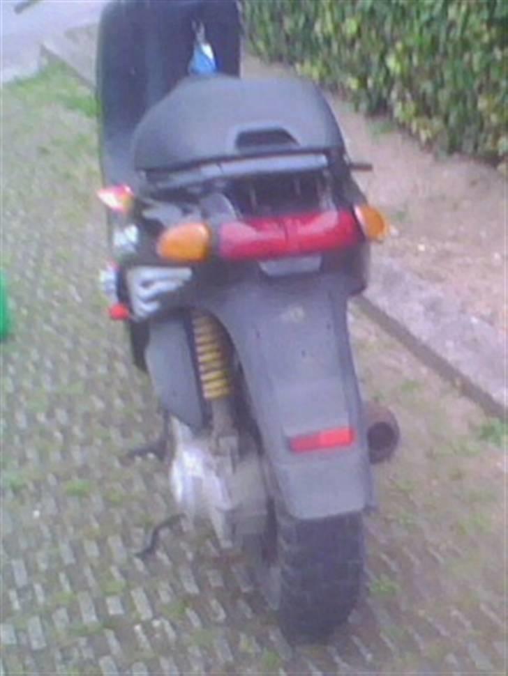 Piaggio Typhoon [BYTTET] billede 3