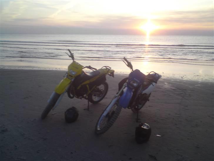 Suzuki vardags byttet billede 12