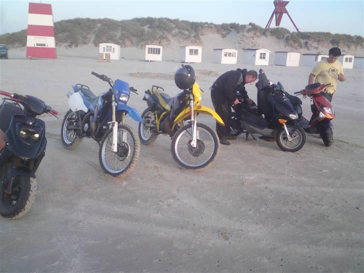 Suzuki vardags byttet billede 13