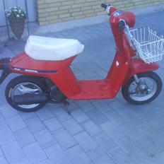 Honda Melody (SOLGT)