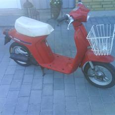 Honda Melody (SOLGT)