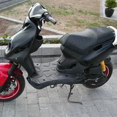 PGO PMX No Fear 