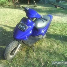 PGO BIG MAX / HOTTIS sjæ