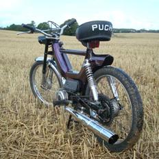 Puch Maxi kl