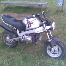 Skyteam PBR (byttet)