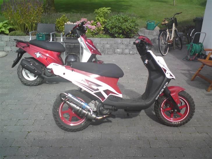 PGO hot 50 (solgt ) billede 9