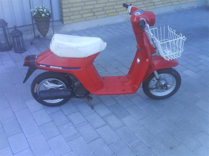 Honda Melody (SOLGT) billede 1