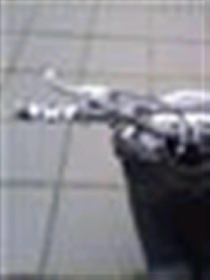 Aprilia Sonic - BYTTET! billede 5