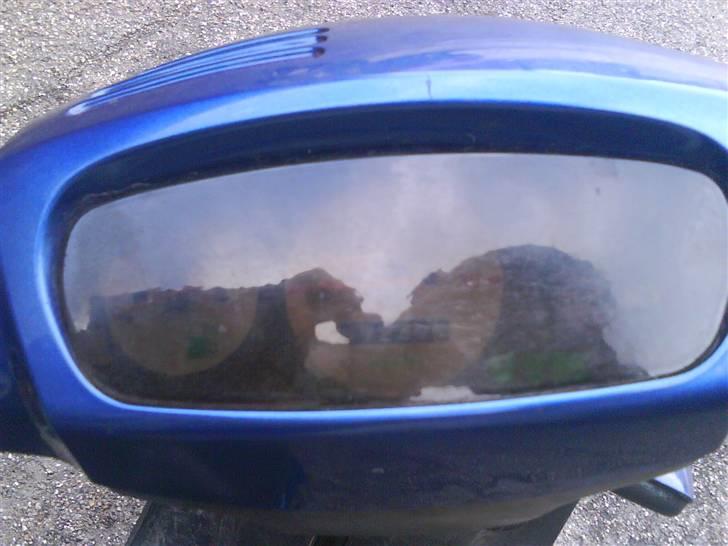 PGO hot 50 byttet  billede 5