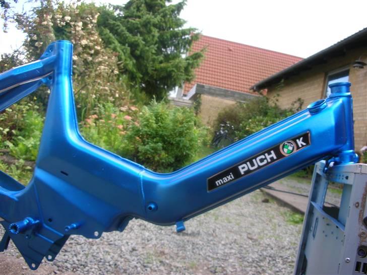 Puch Maxi k  billede 16