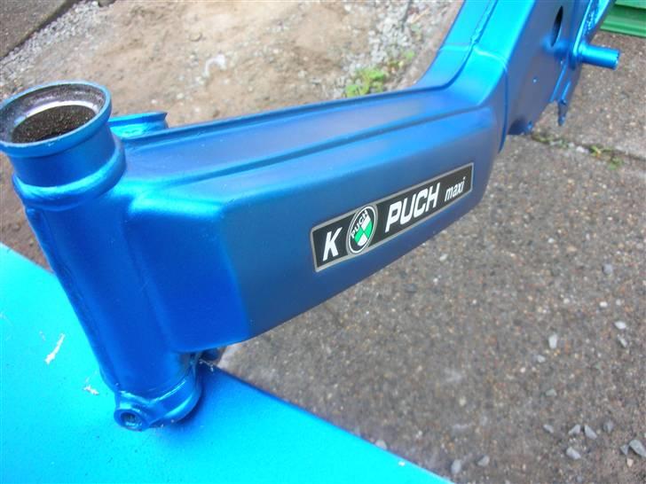 Puch Maxi k  billede 17
