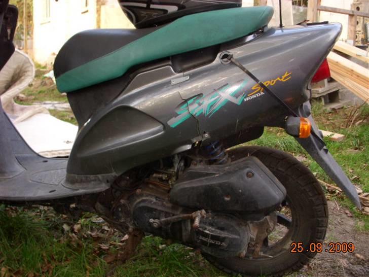 Honda SFX billede 3