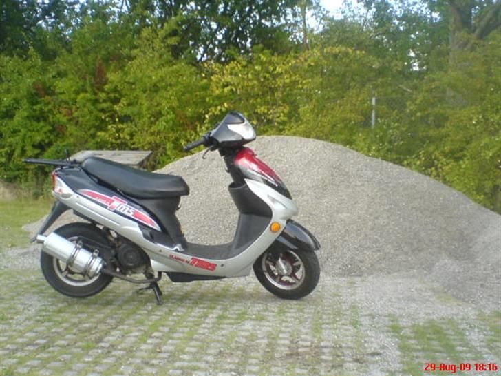 TMS Classic (SOLGT) - Billedet er taget samme dag som da jeg oprettede den. billede 1