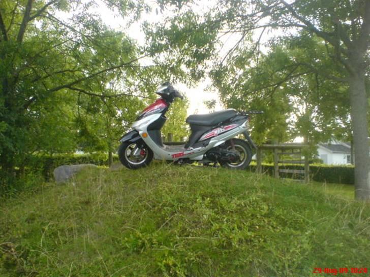 TMS Classic (SOLGT) - Billedet er taget samme dag som da jeg oprettede den. billede 4