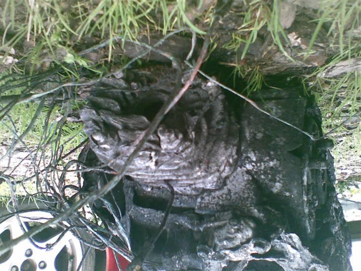 PGO hot 50 R.I.P - efter billede 15