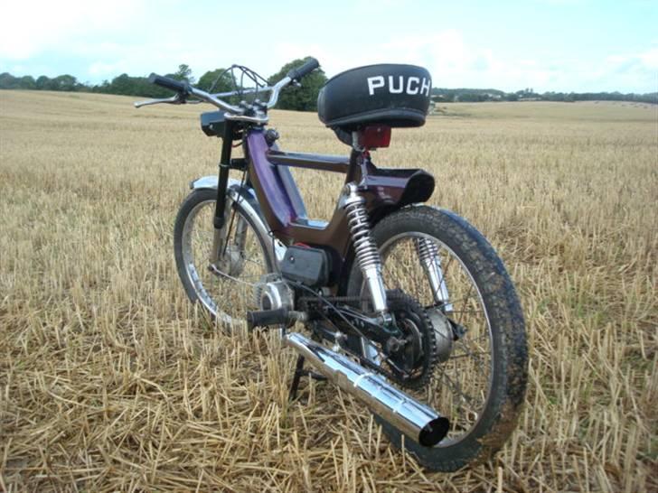 Puch Maxi kl billede 1