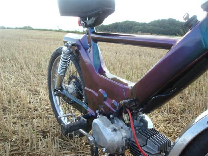 Puch Maxi kl billede 6