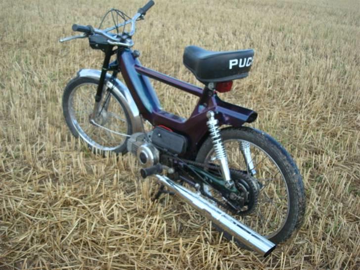 Puch Maxi kl billede 9
