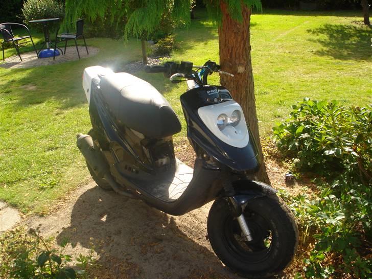 PGO hot 50 - solgt  billede 2