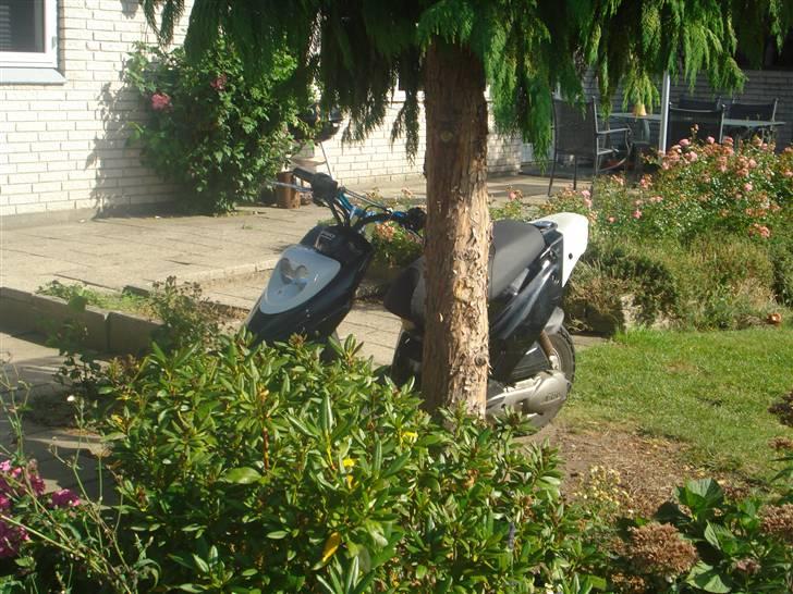 PGO hot 50 - solgt  billede 5