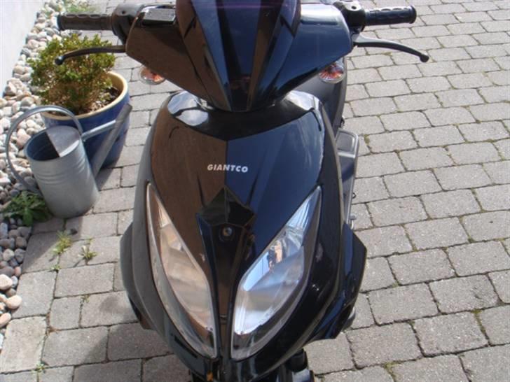 Giantco Stealth billede 2