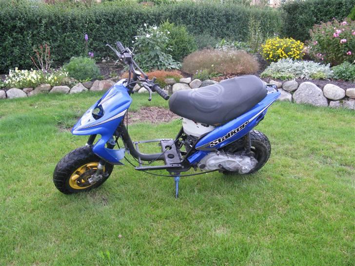 Piaggio nrg mc3 sport solgt billede 18