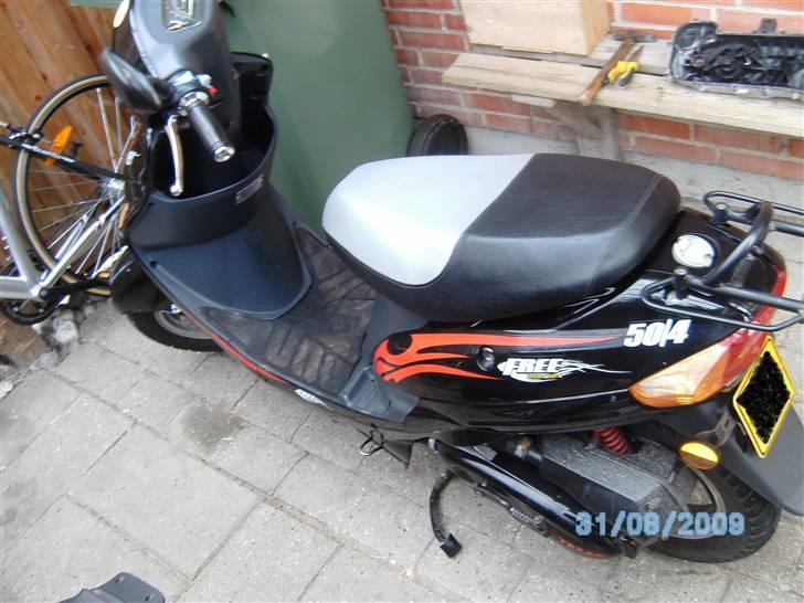 Texas Free 50/4 død billede 1