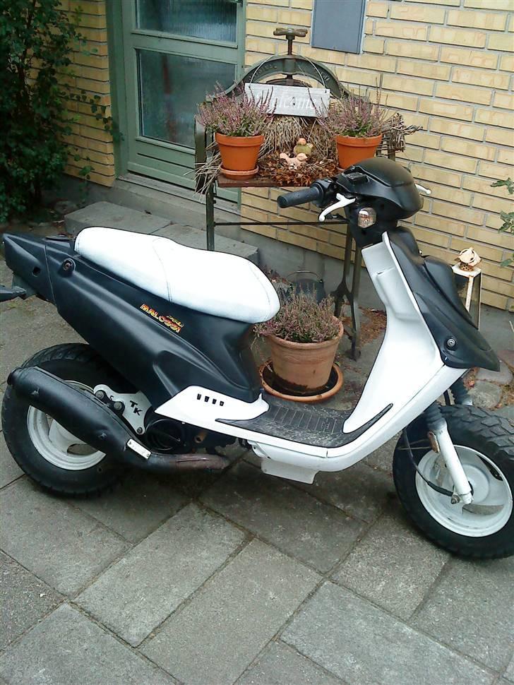 PGO hot 50 Solgt billede 8