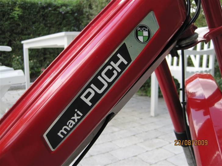 Puch Maxi  billede 5