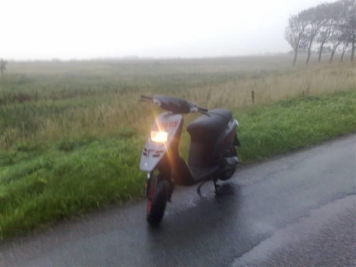 Piaggio Typhoon solgt ! billede 8