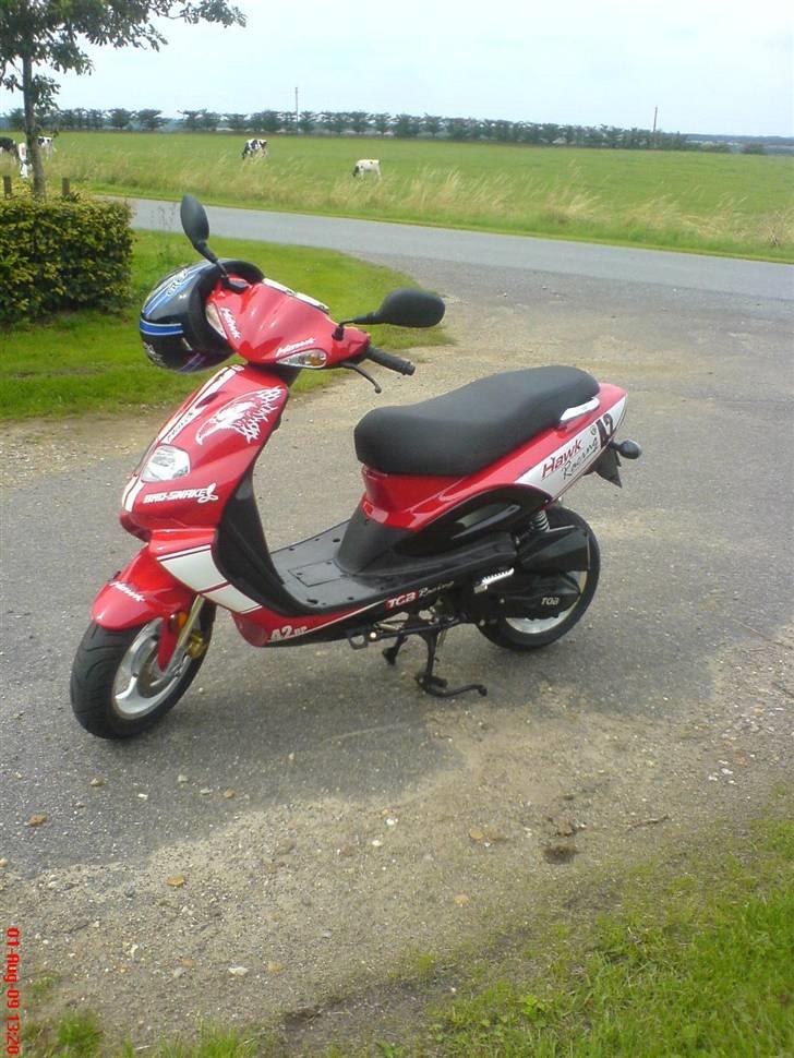 TGB Pegasus 303 r hawk bad snake (er solgt til min søster) - ved en kirke billede 1