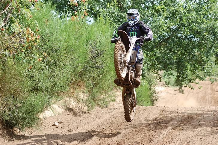 Yamaha YZ 125 billede 6