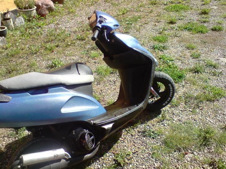 Honda Sfx - Banditten billede 4