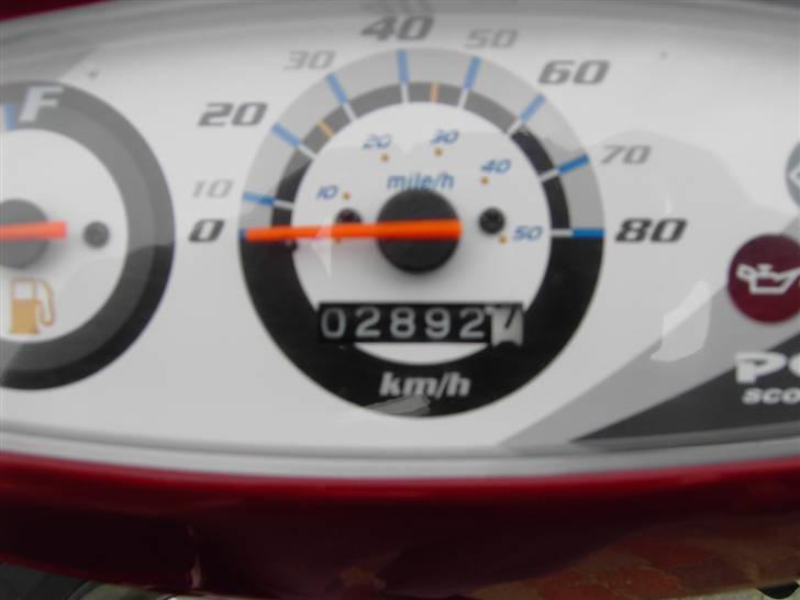 PGO hot 50 TOTAL SKADET billede 7