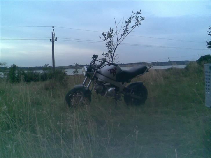 Skyteam PBR (byttet) billede 2