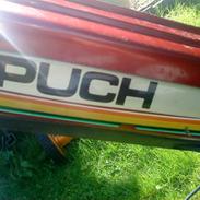 Puch kl