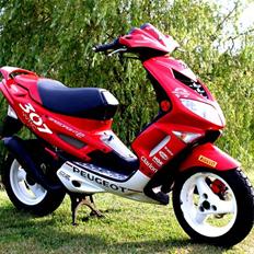 Peugeot Speedfight 2 SOLGT