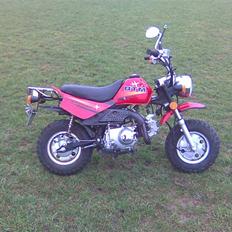 Baotian monkey (solgt)