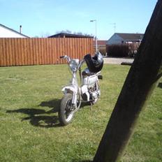 Suzuki fz 50            byttet