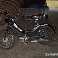 Puch Maxi2gear. Maria'maxi