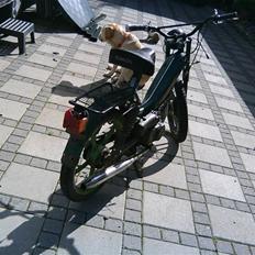 Tomos quadro ( SOLGT)
